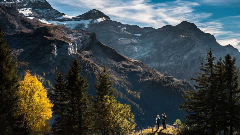 What Is Included In The 99Exch Rebate Program?